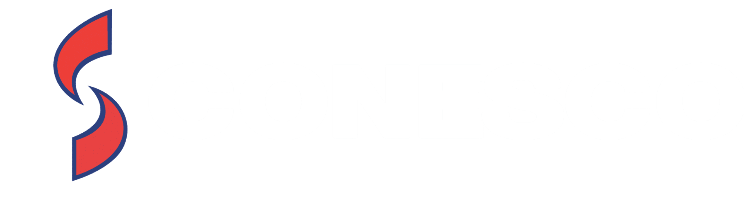 Conesco Storage Systems