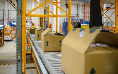 How to Reduce Downtime in Warehouse Material Handling with the Right Conveyor Setup